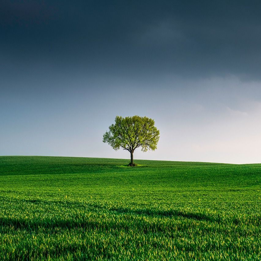 Sustainability & environment