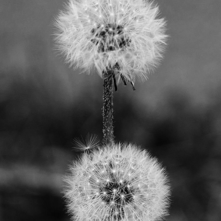 manager-employee relations