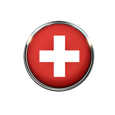 Swiss German speaker